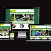 Gatos Parque Kennedy