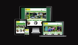 Gatos Parque Kennedy