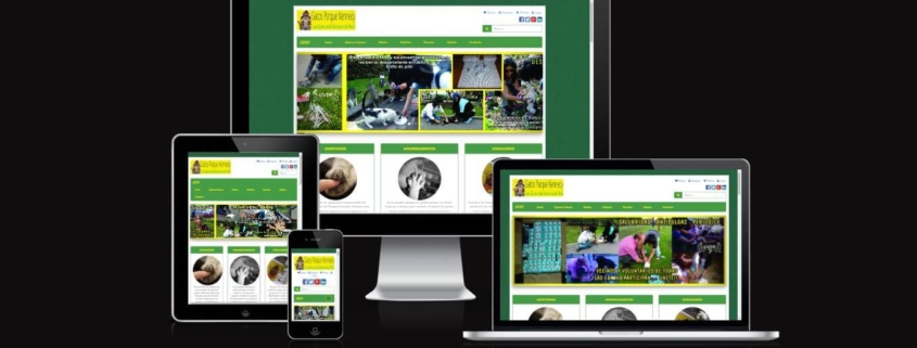 Gatos Parque Kennedy